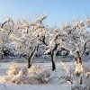 IMG_5618